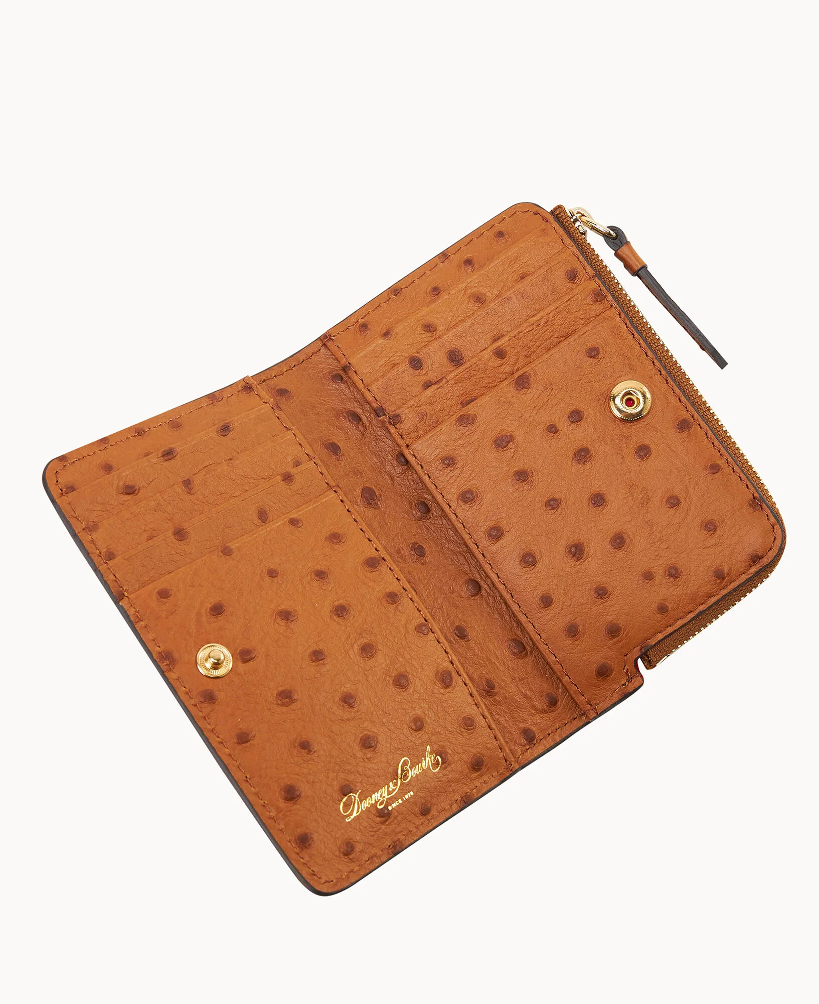 Thumbnail 19